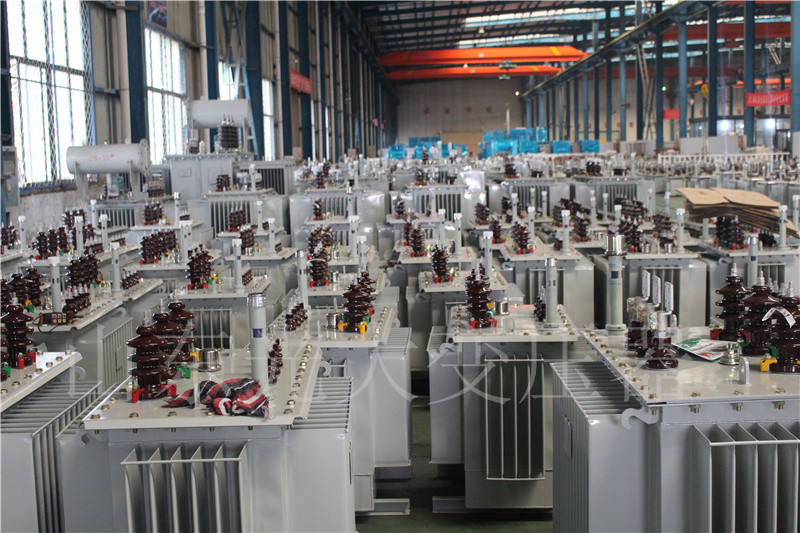 波密S22-800KVA/10KV